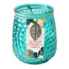 2-Wick Blue Citronella Jar Candle, 18oz