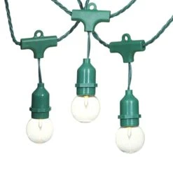 30-Count Clear Globe String Light Set, Green Wire