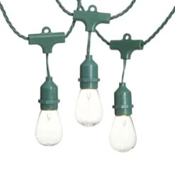 30-Count Edison String Light Set, Green Wire
