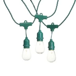 30-Count UL D40 Commercial Style Edison Bulb, Green Wire