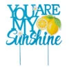 Blue & Yellow You Are My Sunshine Garden Stake, 23.8"