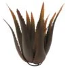 Copper Metal Aloe Plant Statue, 19"